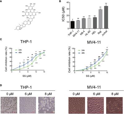 <mark class="highlighted">Solasonine</mark> Suppresses the Proliferation of Acute Monocytic Leukemia Through the Activation of the AMPK/FOXO3A Axis
